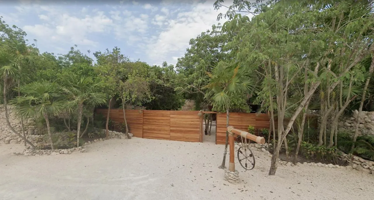 Our Habitas Tulum - Adults Only Hotel